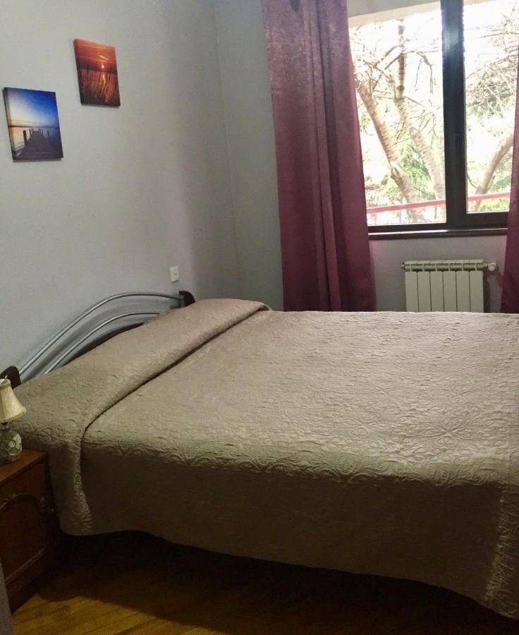 Irina'S Apartment Old Tbilisi Centr Mtatsminda 外观 照片